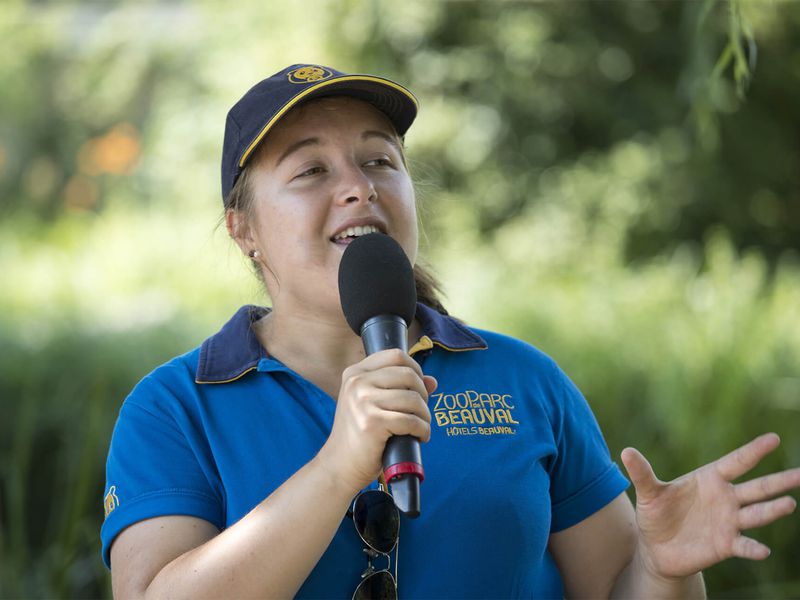 Animations pédagogiques avec médiateur - Animations du ZooParc de Beauval Animations pédagogiques avec médiateur - Animations du ZooParc de Beauval