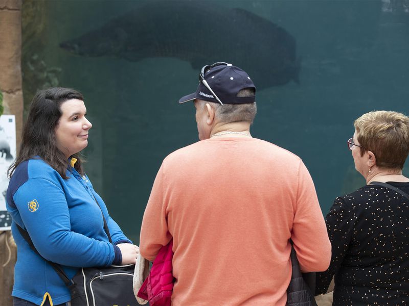 Visite guidée avec médiateur - Activités du ZooParc de Beauval Visite guidée avec médiateur - Activités du ZooParc de Beauval