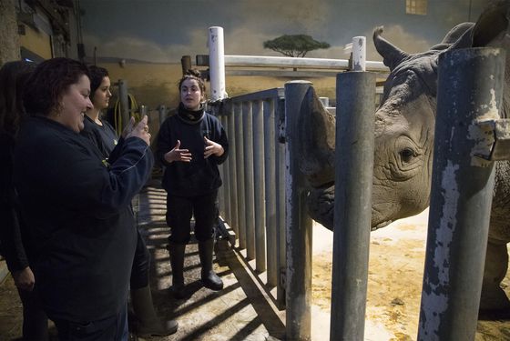 Activité Soigneur d'un Jour Activité Soigneur d'un Jour