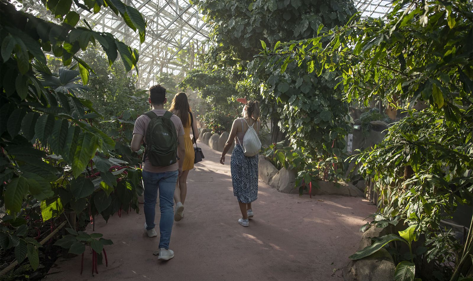 Venir à Beauval par tous les temps - ZooParc de Beauval