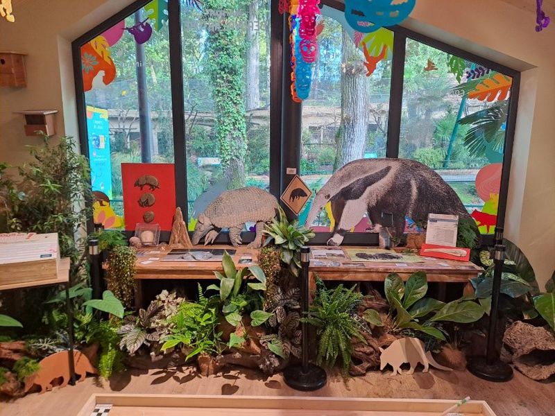 Activités semaine de l'Amérique du Sud - Maison Beauval Nature - ZooParc de Beauval Activités semaine de l'Amérique du Sud - Maison Beauval Nature - ZooParc de Beauval