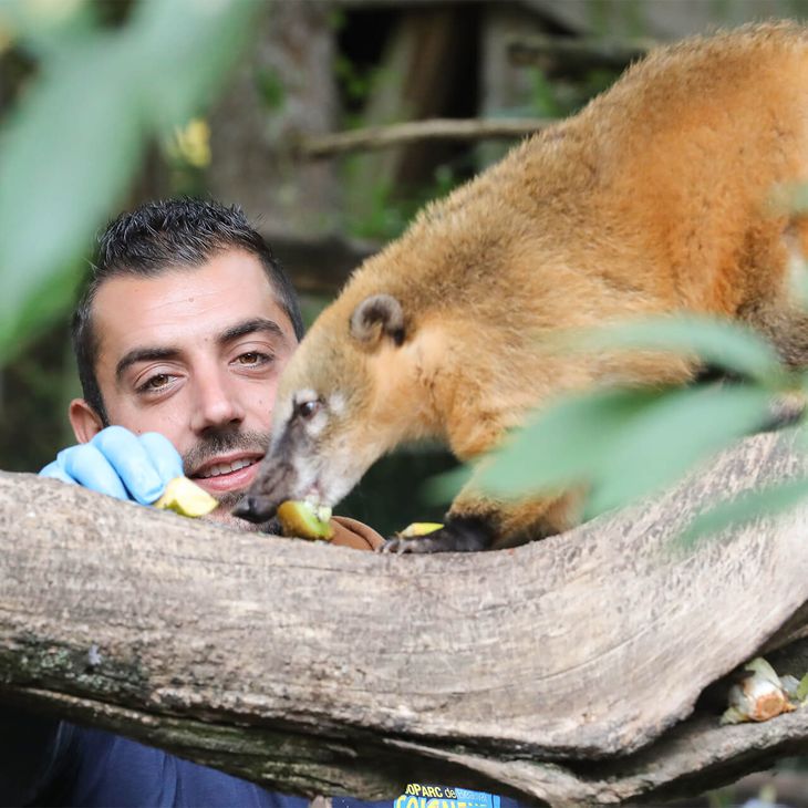 Activités découvertes - ZooParc de Beauval