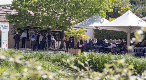 Les Orangs-outans - Restaurant - ZooParc de Beauval