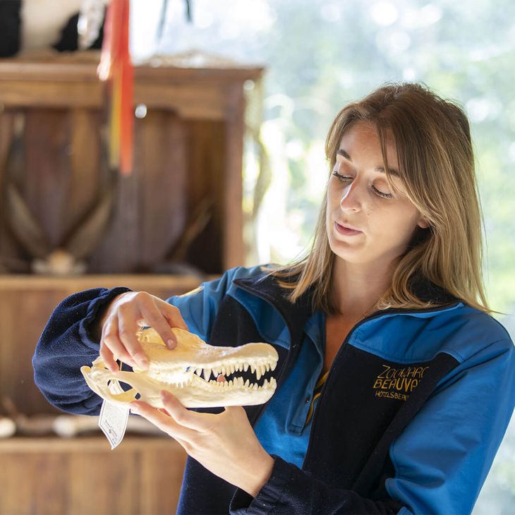 Apprendre en s'amusant - Activité pédagogique - ZooParc de Beauval