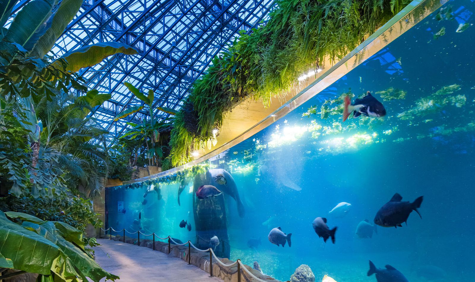 Le Dôme Équatorial Intérieur - Territoire du ZooParc de Beauval