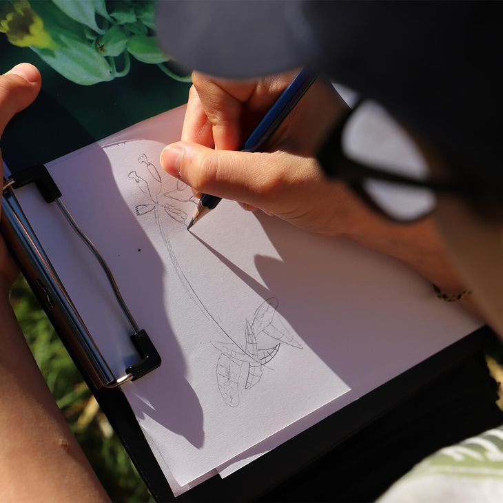 S'occuper en s'amusant avec le ZooParc de Beauval - Tutos