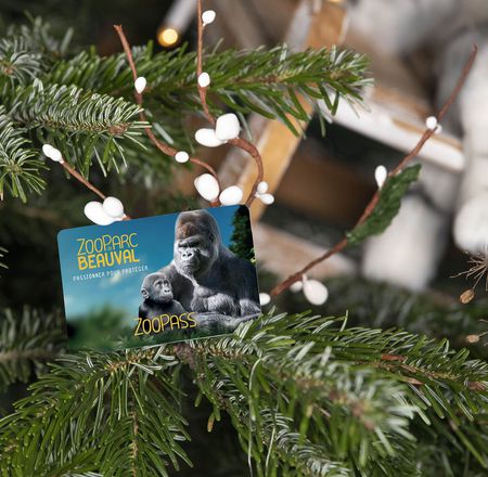 Idées cadeaux - Noël au ZooParc de Beauval