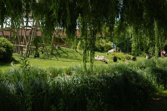 Un vaste espace extérieur