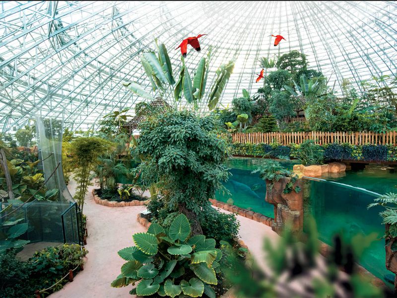 Jouer avec la météo - Venir en famille - Saison automne - ZooParc de Beauval