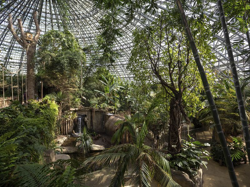 Venir au ZooParc en automne ou en hiver - ZooParc de Beauval