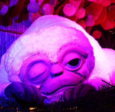 Animations MonstroZoo - Activités dans le parc - ZooParc de Beauval