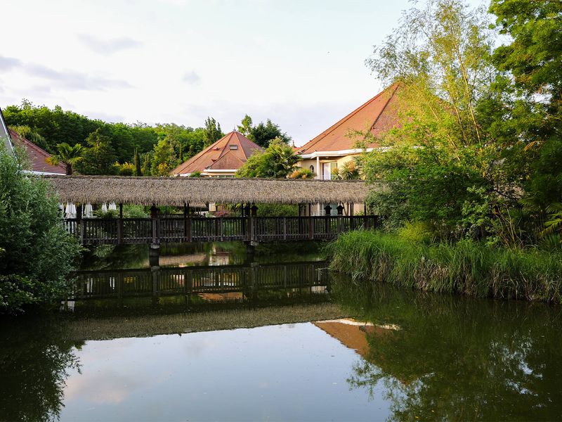Option flex - Séjourner dans les Hôtels du ZooParc de Beauval Option flex - Séjourner dans les Hôtels du ZooParc de Beauval