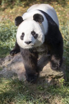 Acheter un billet - Billet 1 jour