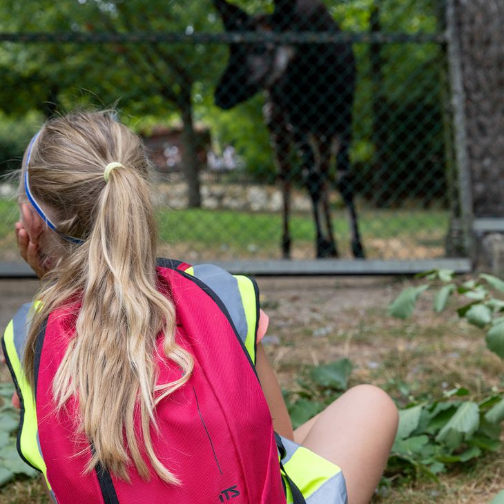 Découverte du ZooParc - Activités junior Premiers pas de Soigneur - ZooParc de Beauval