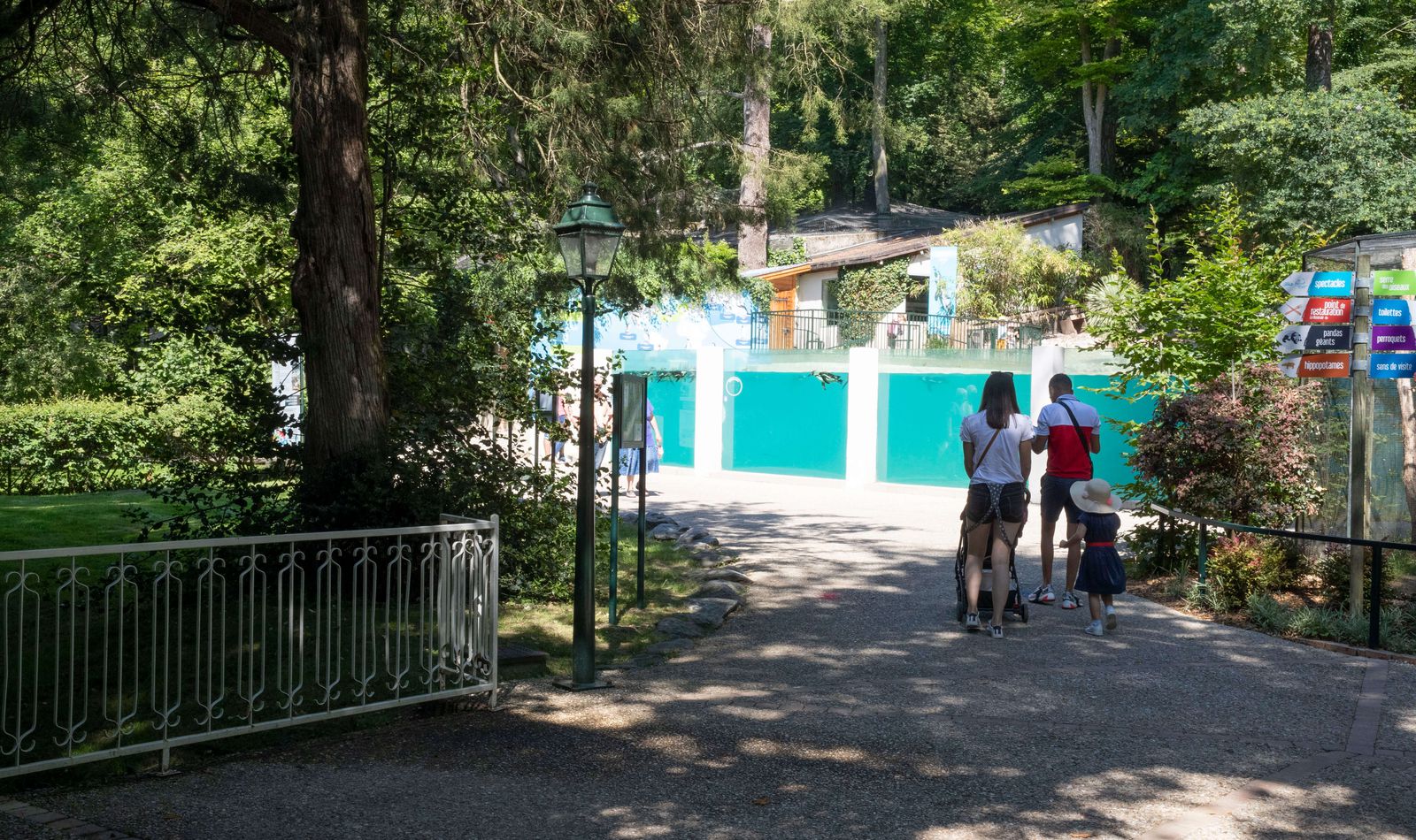 Bassin des manchots - Venez visiter les animaux du ZooParc de Beauval