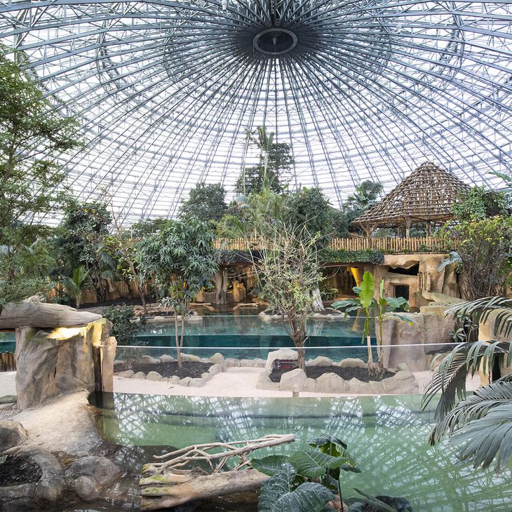 Vue de l'intérieur du Dôme Équatorial - ZooParc de Beauval
