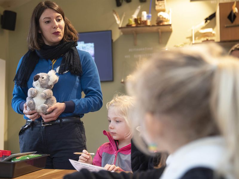 Activité sauvons les koalas - Maison Beauval Nature - ZooParc de Beauval Activité sauvons les koalas - Maison Beauval Nature - ZooParc de Beauval