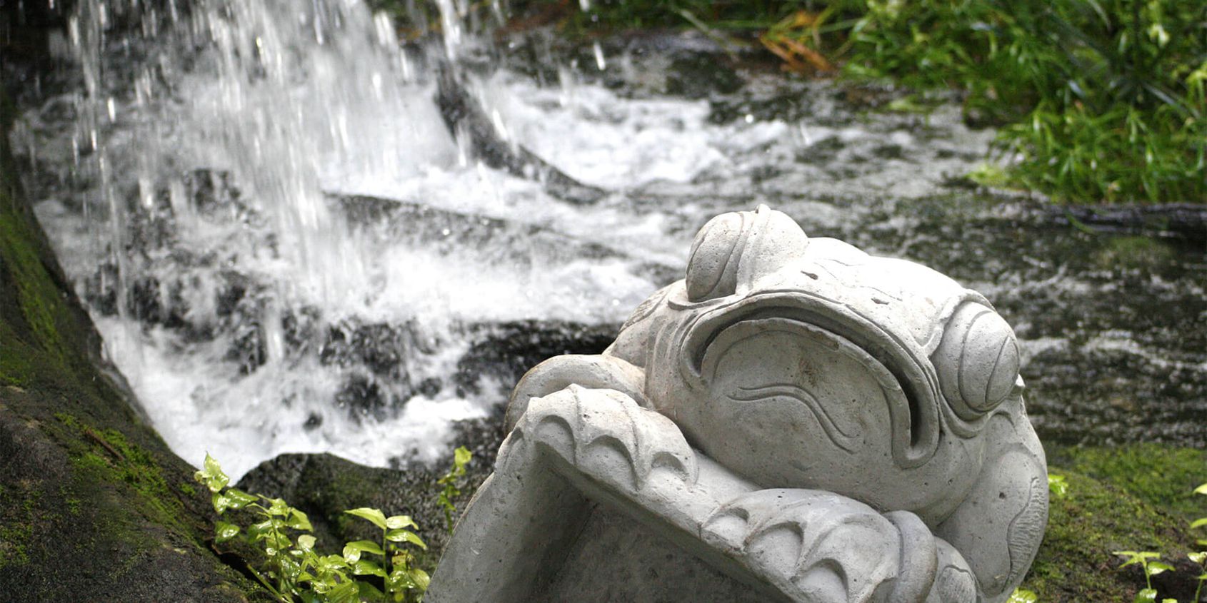Séjourner aux Jardins de Beauval - Les hôtels de Beauval