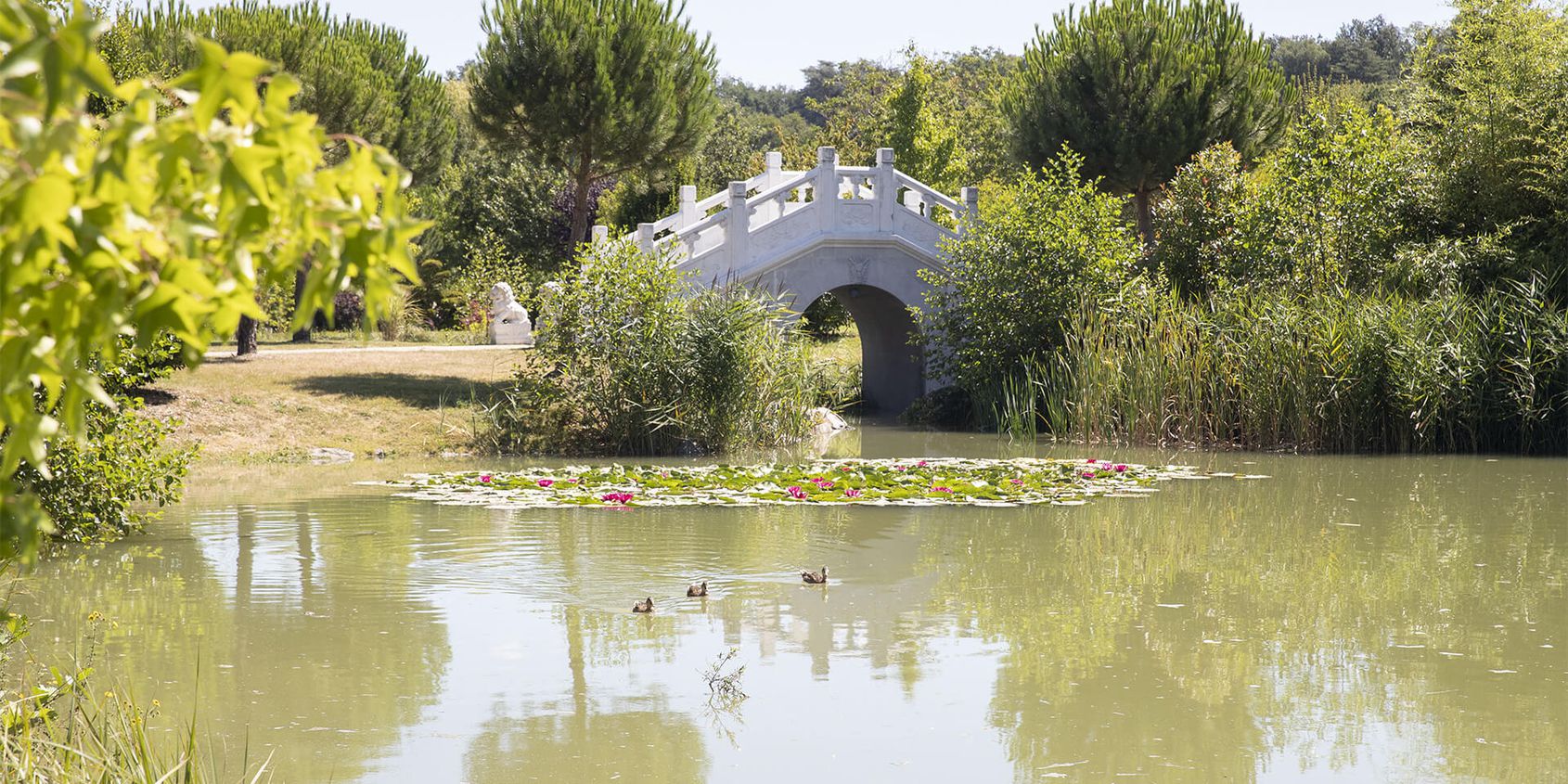 Séjourner aux Pagodes de Beauval - Les hôtels de Beauval