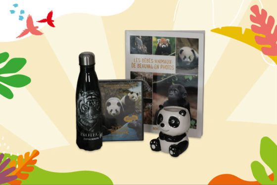 La tombola de Noël Beauval Nature du 20 au 22 décembre