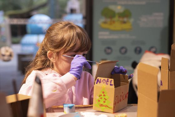 Atelier enrichissements à Noël - Activité pédagogique - Vacances en famille au ZooParc de Beauval