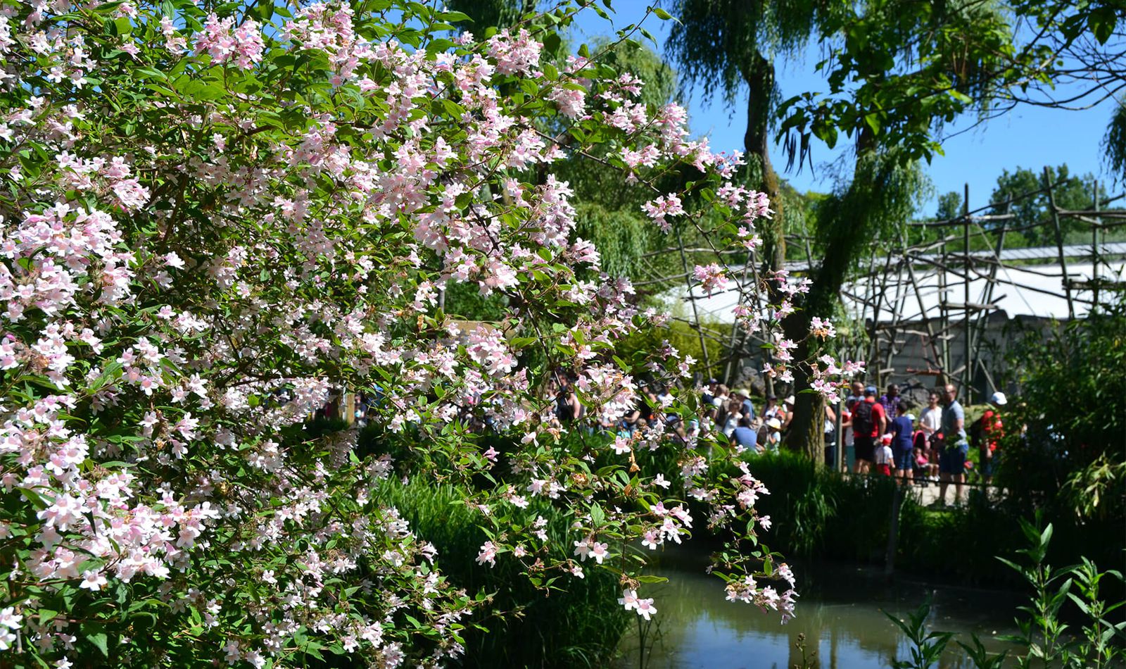 Venir en famille - Saison printemps - ZooParc de Beauval
