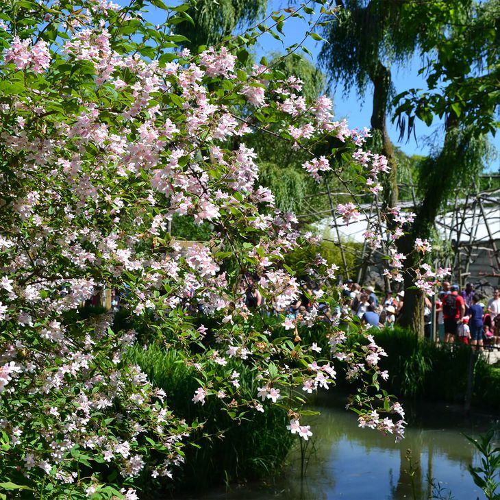Venir en famille - Saison printemps - ZooParc de Beauval
