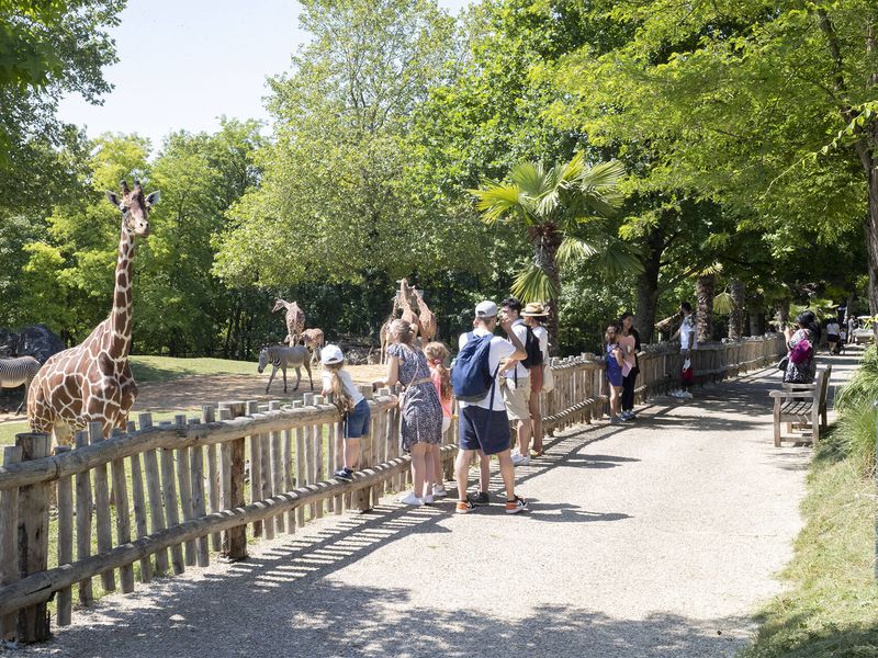 Venir à Beauval en été - Conseils de visite - ZooParc de Beauval Venir à Beauval en été - Conseils de visite - ZooParc de Beauval