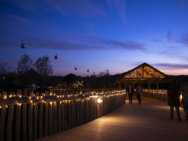 Beauval sous la nuit et les illuminations de Noël, avec la télécabine en fond - Venir en famille - Saison hiver - ZooParc de Beauval Beauval sous la nuit et les illuminations de Noël, avec la télécabine en fond - Venir en famille - Saison hiver - ZooParc de Beauval