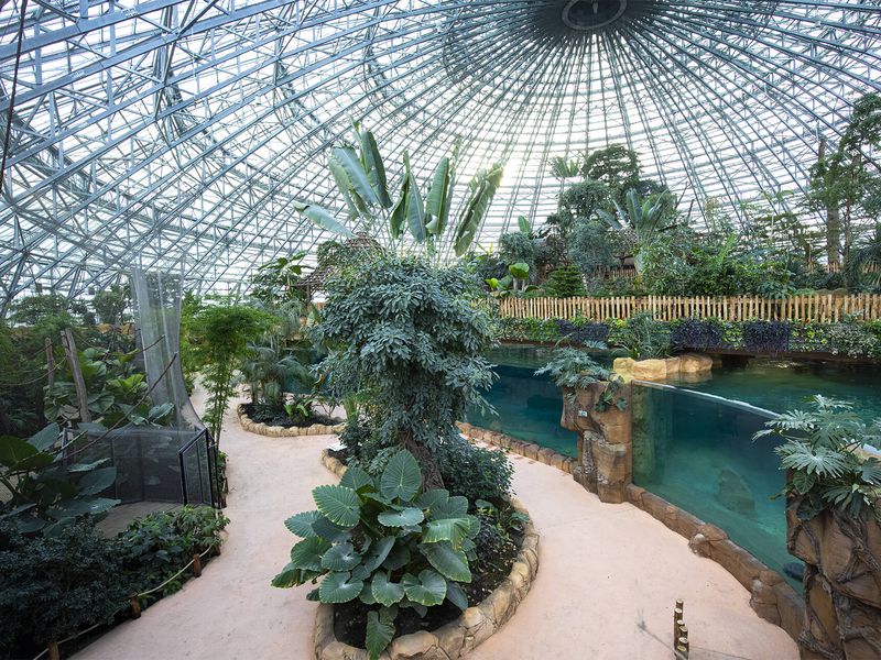 Vue de l'intérieur du Dôme Équatorial - Venir en famille - Saison hiver - ZooParc de Beauval Vue de l'intérieur du Dôme Équatorial - Venir en famille - Saison hiver - ZooParc de Beauval