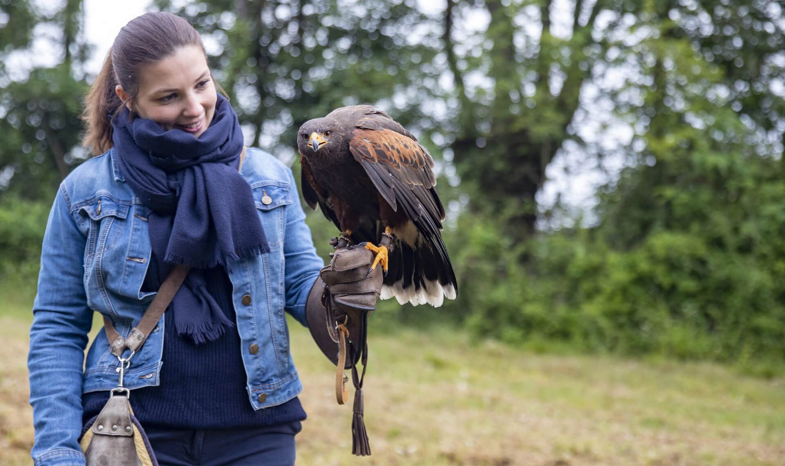 Offrir ou réserver une activité - ZooParc de Beauval