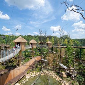 Grande volière sud-américaine - Territoire - ZooParc de Beauval