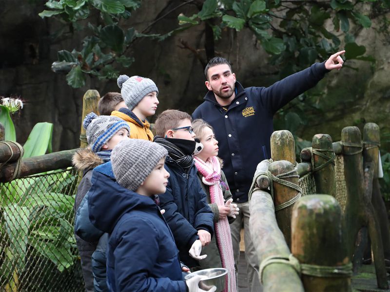 Activité Premiers Pas de Soigneur - Week-end en famille au ZooParc de Beauval