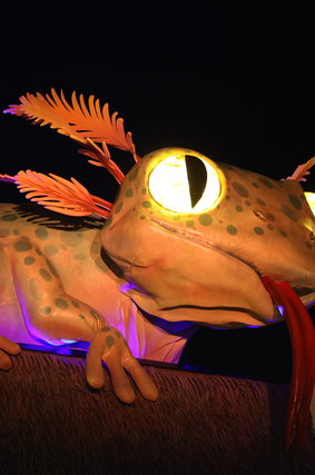 Visites guidées, MonstroZoo - Activité - ZooParc de Beauval