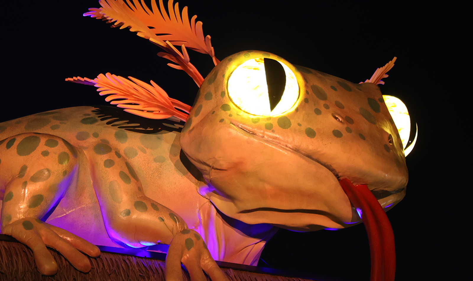 Visites guidées, MonstroZoo - Activité - ZooParc de Beauval